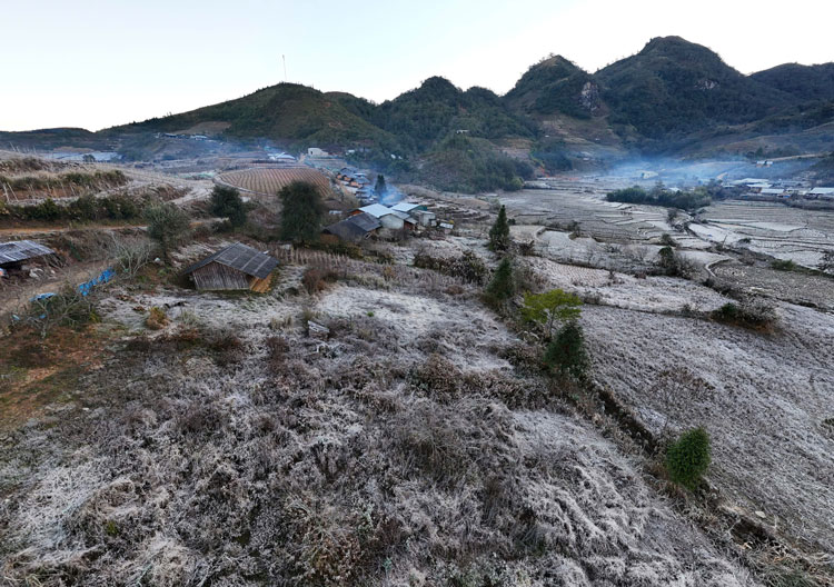 Enligt människor i Y Ty-kommunen täckte frosten träd och gräs... tills solljuset steg och de började smälta. Foto: Duy Dung