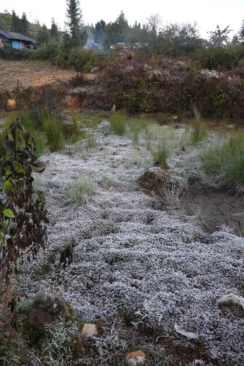 Snö täckte fälten.
