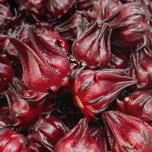 赤アチソ茶は、肝臓と腎臓に良く、尿酸の排出をサポートするために、朝食後に飲む必要があります。写真:クアン・ミン.