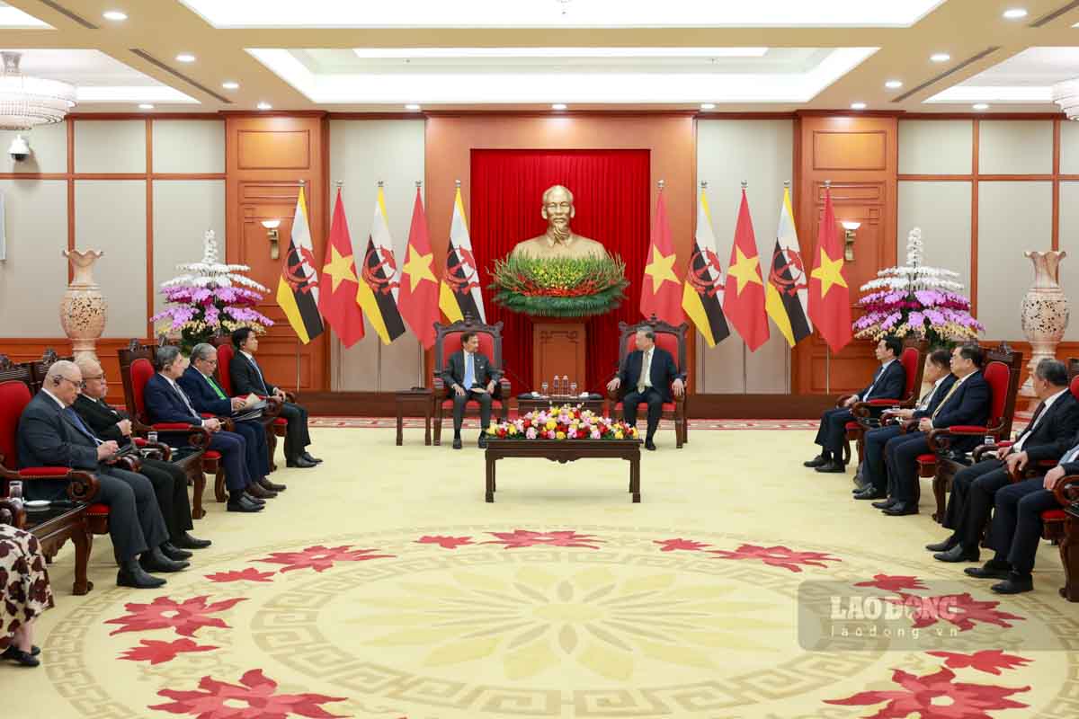 Tong Bi thu To Lam da tiep Quoc vuong Brunei Darussalam Haji Hassanal Bolkiah. Anh: Hai Nguyen