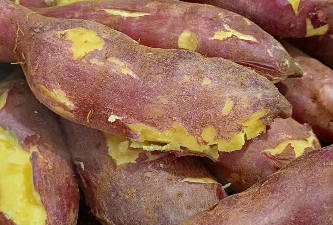 Sweet potatoes are one of the foods that can help control blood pressure in winter. Photo: Kieu Vu