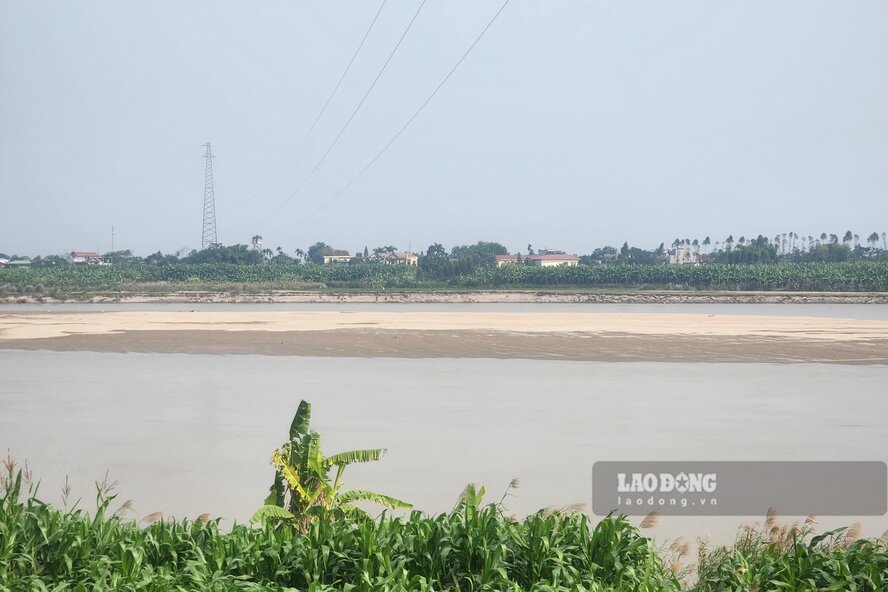 Mot con cat lon noi len giua song doan qua dia ban xa Tien Luong, tinh Phu Tho. Anh: To Cong.