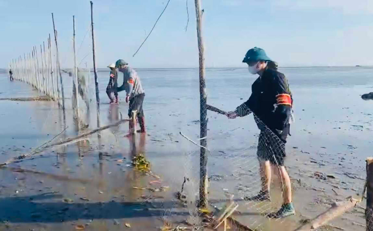 クアンハコミューンのクアンミン3村の海域における違法漁業の杭と地引網の全域の違反を処理する。写真: クアンハコミューンの電子情報ポータル