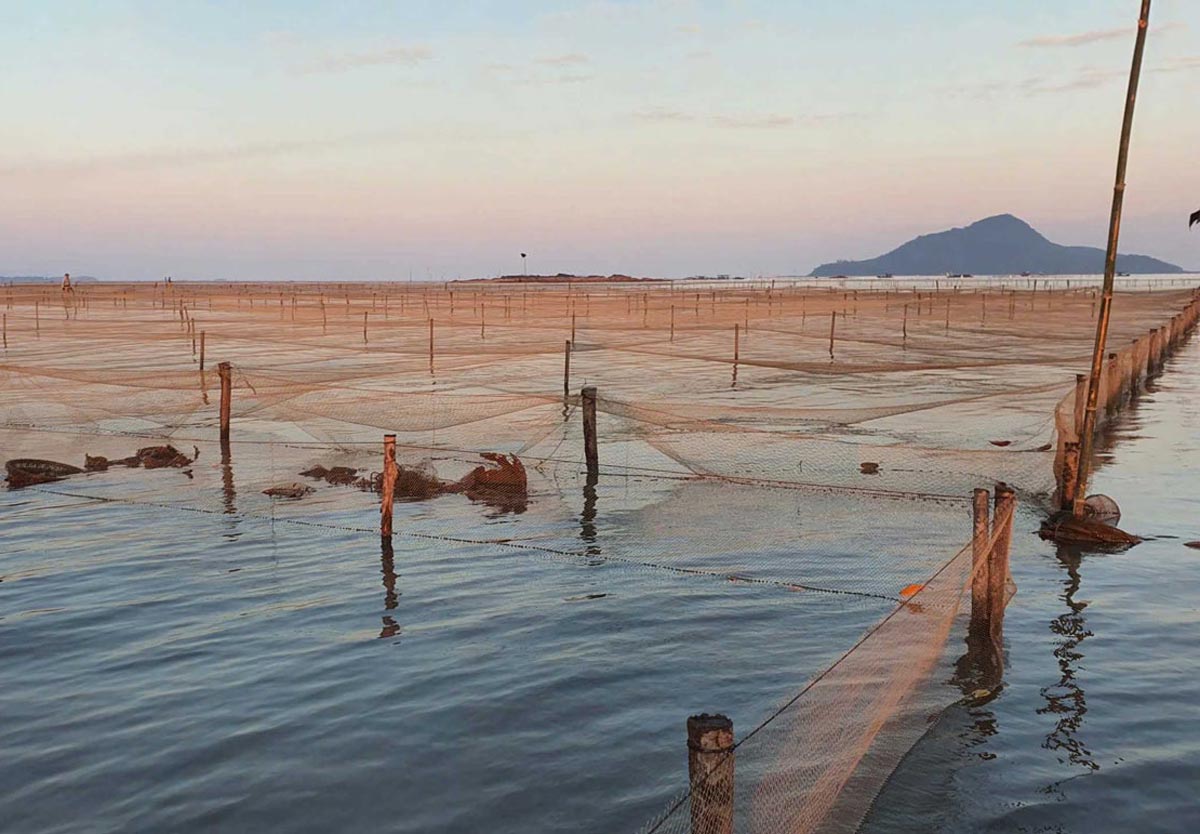 Dien tich nuoi trong Hen hoa vi pham tai khu vuc thon Quang Phong 9, xa Quang Ha dang duoc chinh quyen xu ly. Anh: Cong TTDT xa Quang Ha