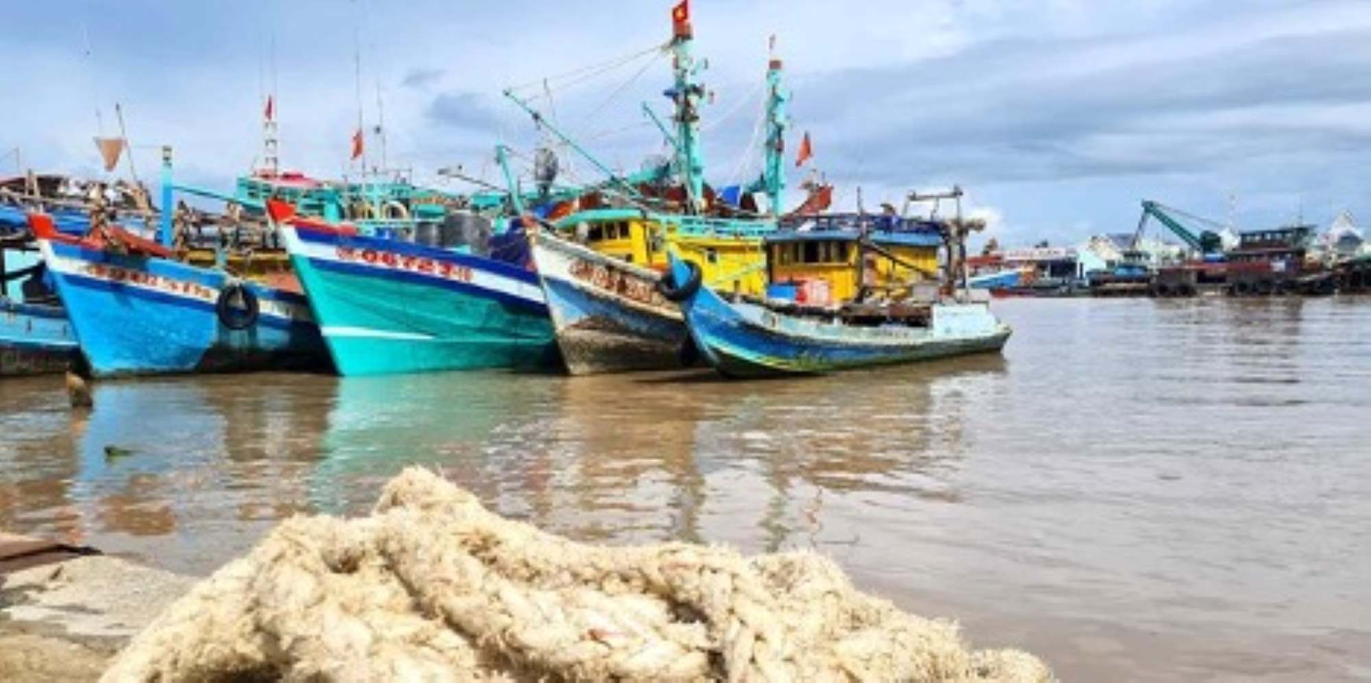 Ca Mau is determined to remove the IUU yellow card, transparency in fishing. Photo: Nhat Ho
