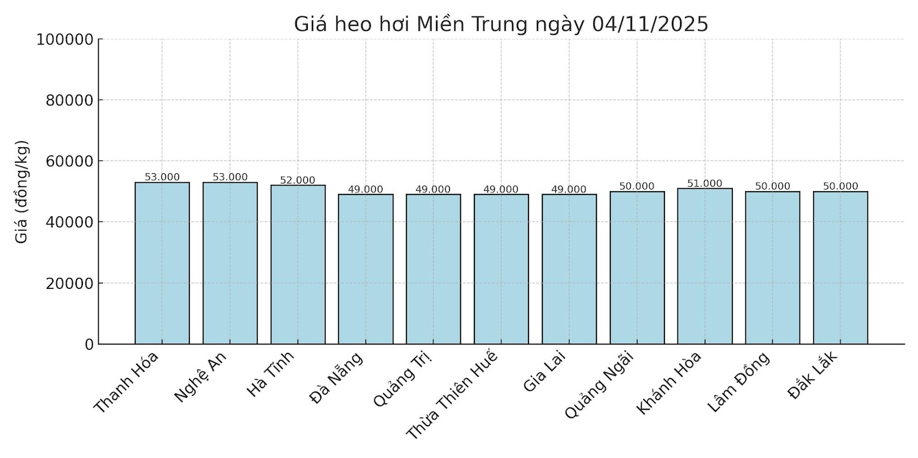 Gia heo hoi ngay 4.11 tai khu vuc mien Trung. Do hoa: Thuy Linh