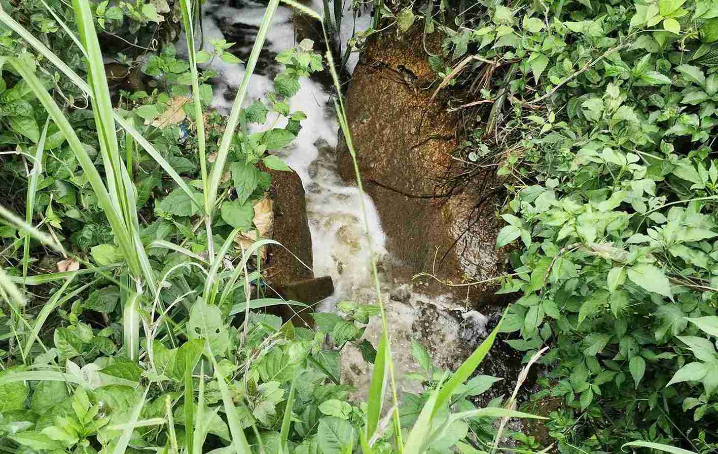 Nui rac tai Nha may xu ly rac nam tren doi cao khien toan bo nuoc thai chay tran xuong muong nuoc ben canh roi do ra suoi Dai Lao (phuong Bao Loc 3) o ha nguon gay o nhiem.