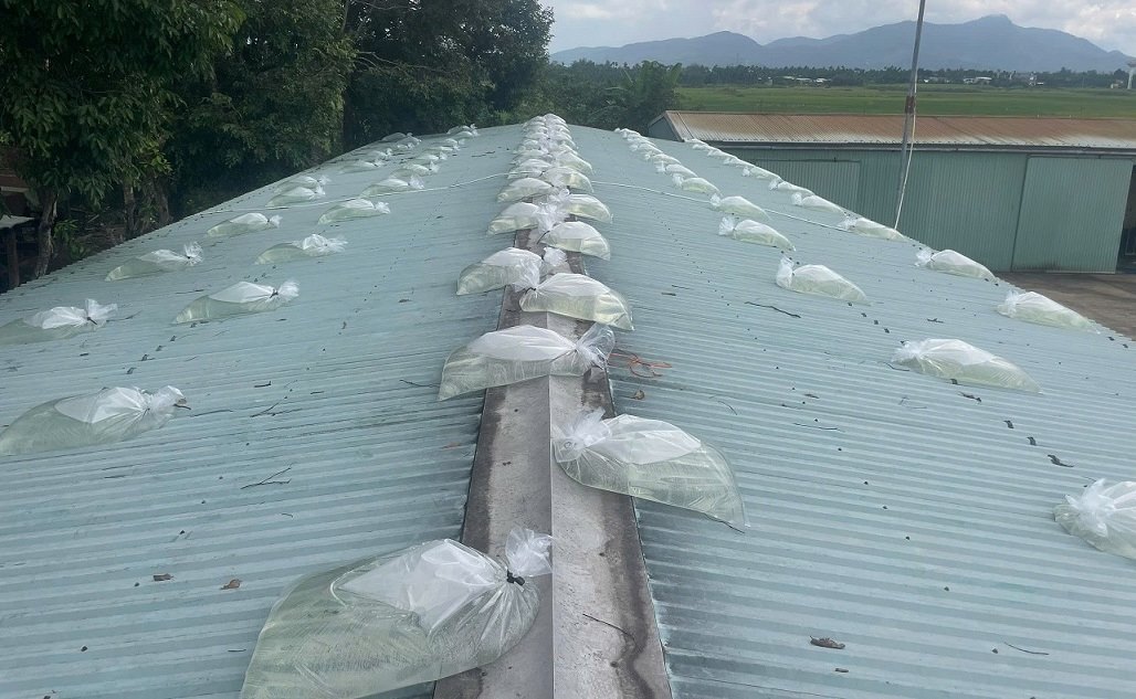 Xuong san xuat mo cau o Khu cong nghiep Dong Dinh (xa Nghia Hanh) dung bao nuoc de giu mai nha xuong. Anh: Ngoc Thong