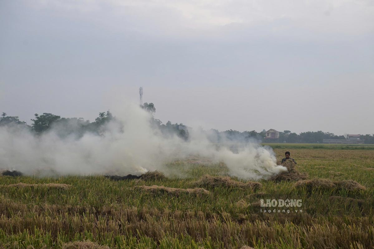 Vao dau mua gat, tinh trang nguoi dan dot rom ra khong dung noi quy dinh lai tai dien. Anh: Ha Vi