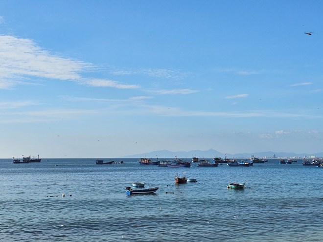 The Dak Lak Provincial People's Committee requires departments, branches and localities to proactively deploy comprehensive response plans to storm No. 13. Photo: Thanh Quynh