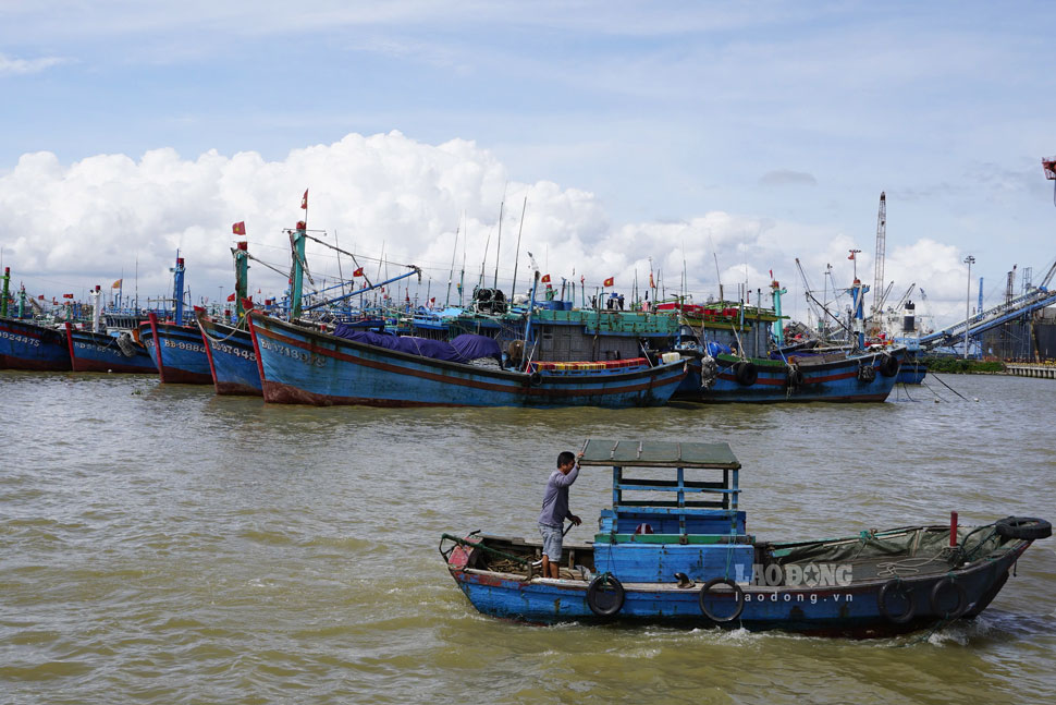 Tau thuyen neo dau tai cang ca Quy Nhon de tranh bao. Anh: Hoai Phuong