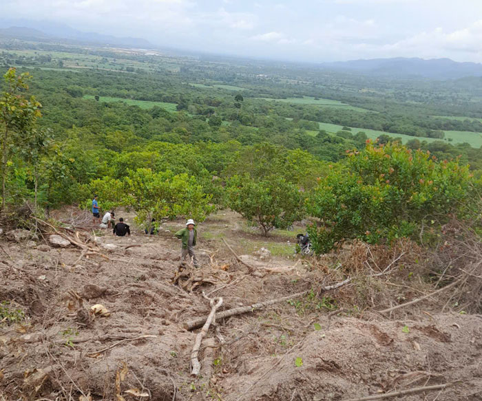 Khu vực diễn ra vụ phá rừng trái phép tại xã Uar. Ảnh: Thanh Tuấn 