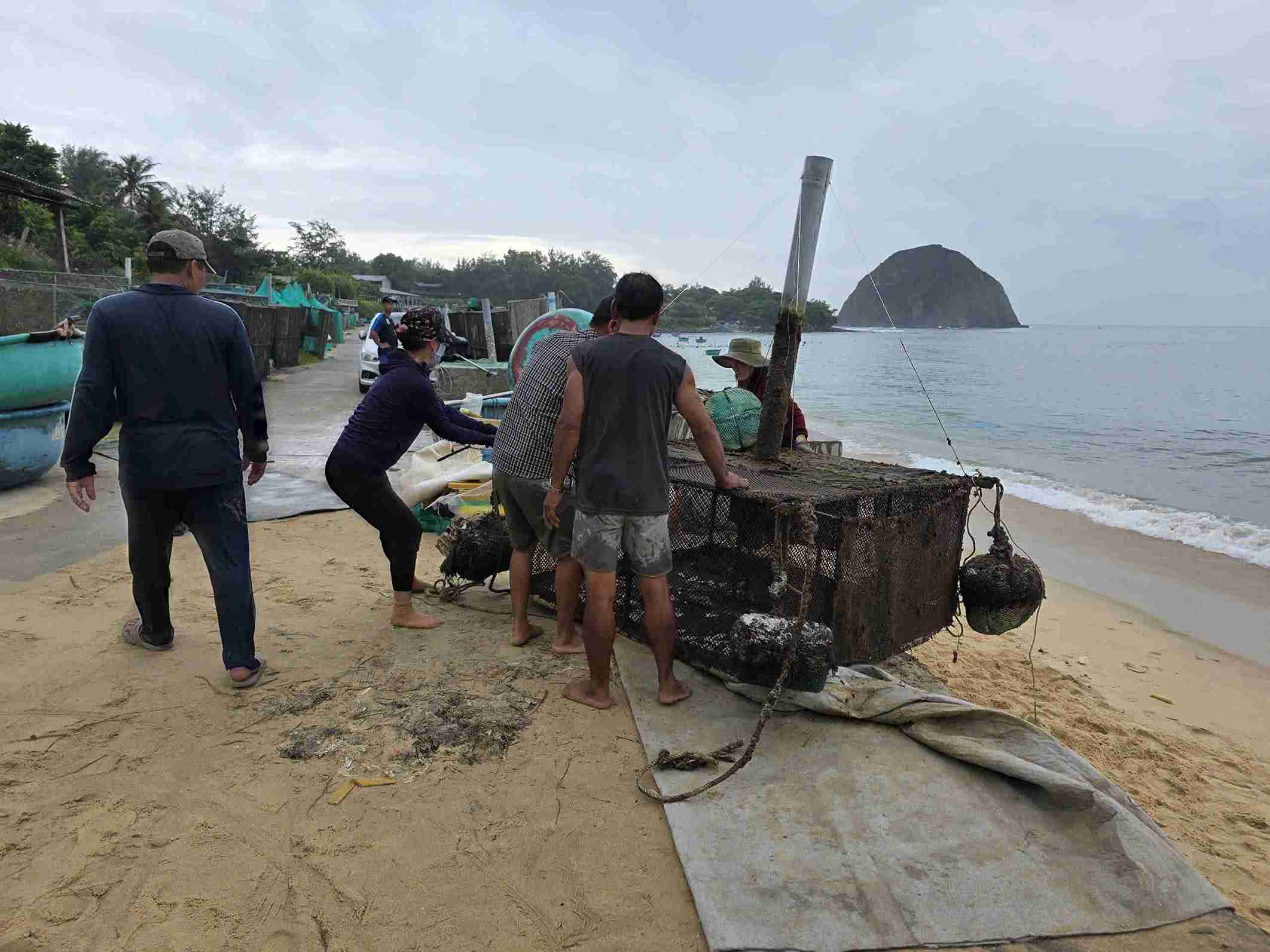 Coastal residents of Dak Lak are rushing to "run" lobsters. Photo: Huu Long