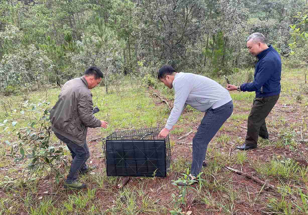 Luc luong chuc nang tinh Lam Dong tai tha ca the rong Nam My ve moi truong tu nhien. Anh: Thuy Trang