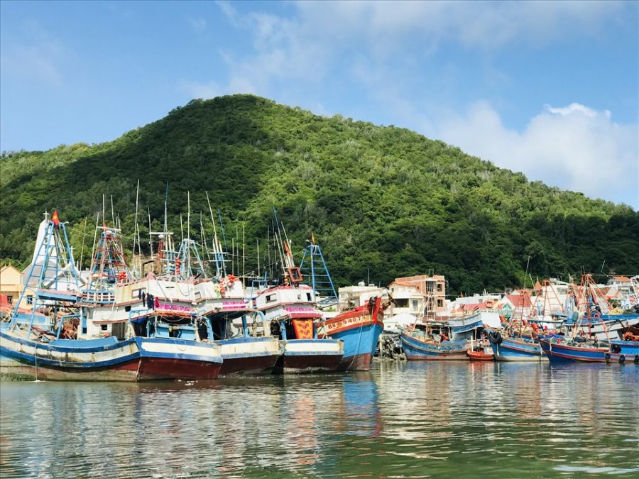 Fishing vessels anchored in the Vung Tau sea area. Photo: Minh Thanh