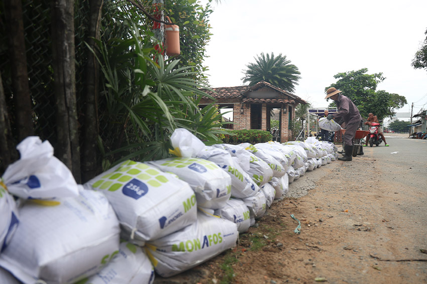 ホーチミン市のタンダ半島の人々は新たな高潮に対処するために緊急に土嚢を構築した