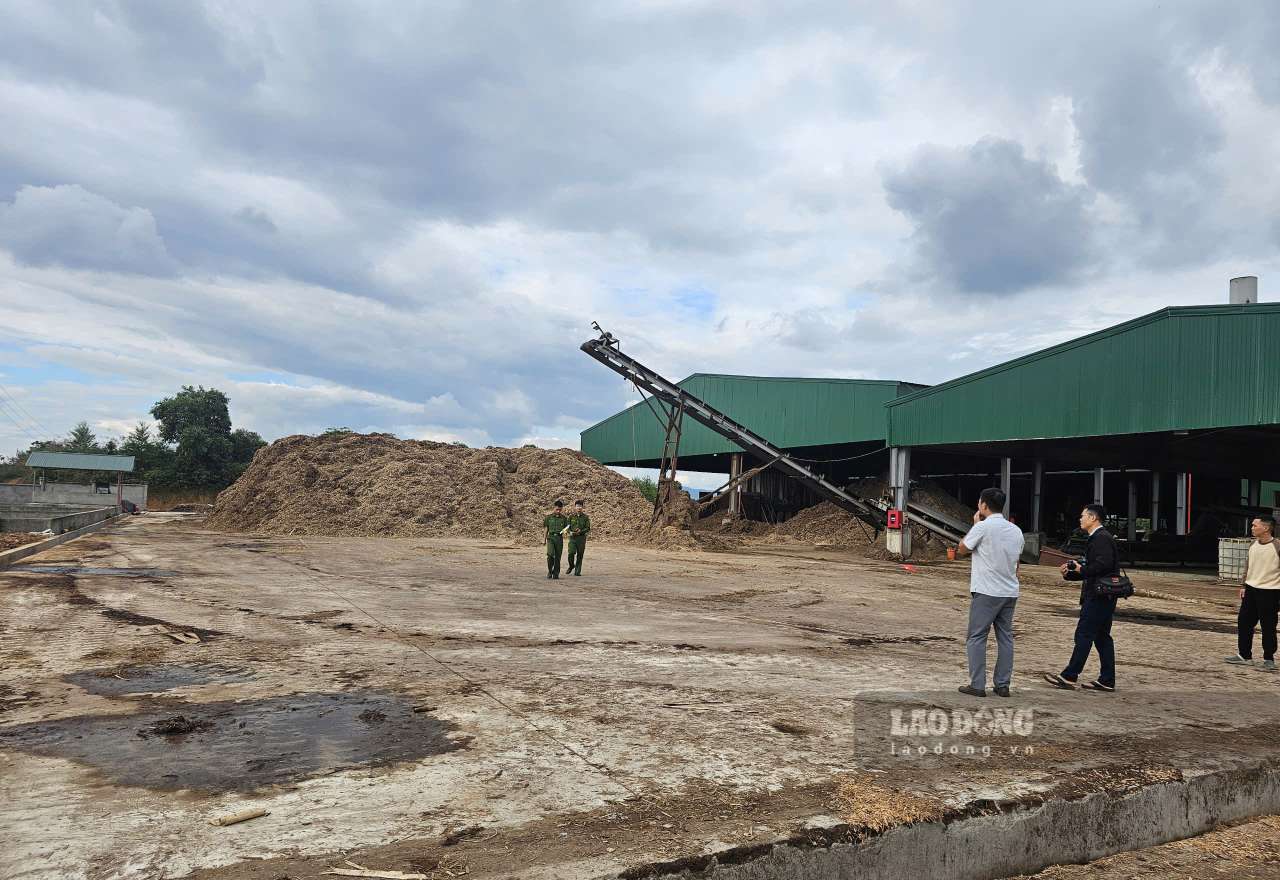 Co quan chuc nang dang dieu tra, lam ro nguyen nhan vu tai nan lao dong khien 2 nguoi thuong vong. Anh: Van Duc