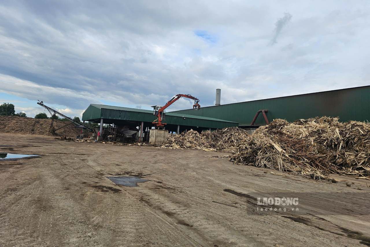 Cong ty bat dau thu nghiem day truyen khoang 2 thang nay. Anh: Van Duc