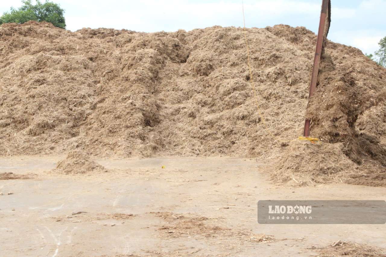 Khu tap ket san pham go dam cua Cong ty TNHH Kiet Lam YB. Anh: Van Duc