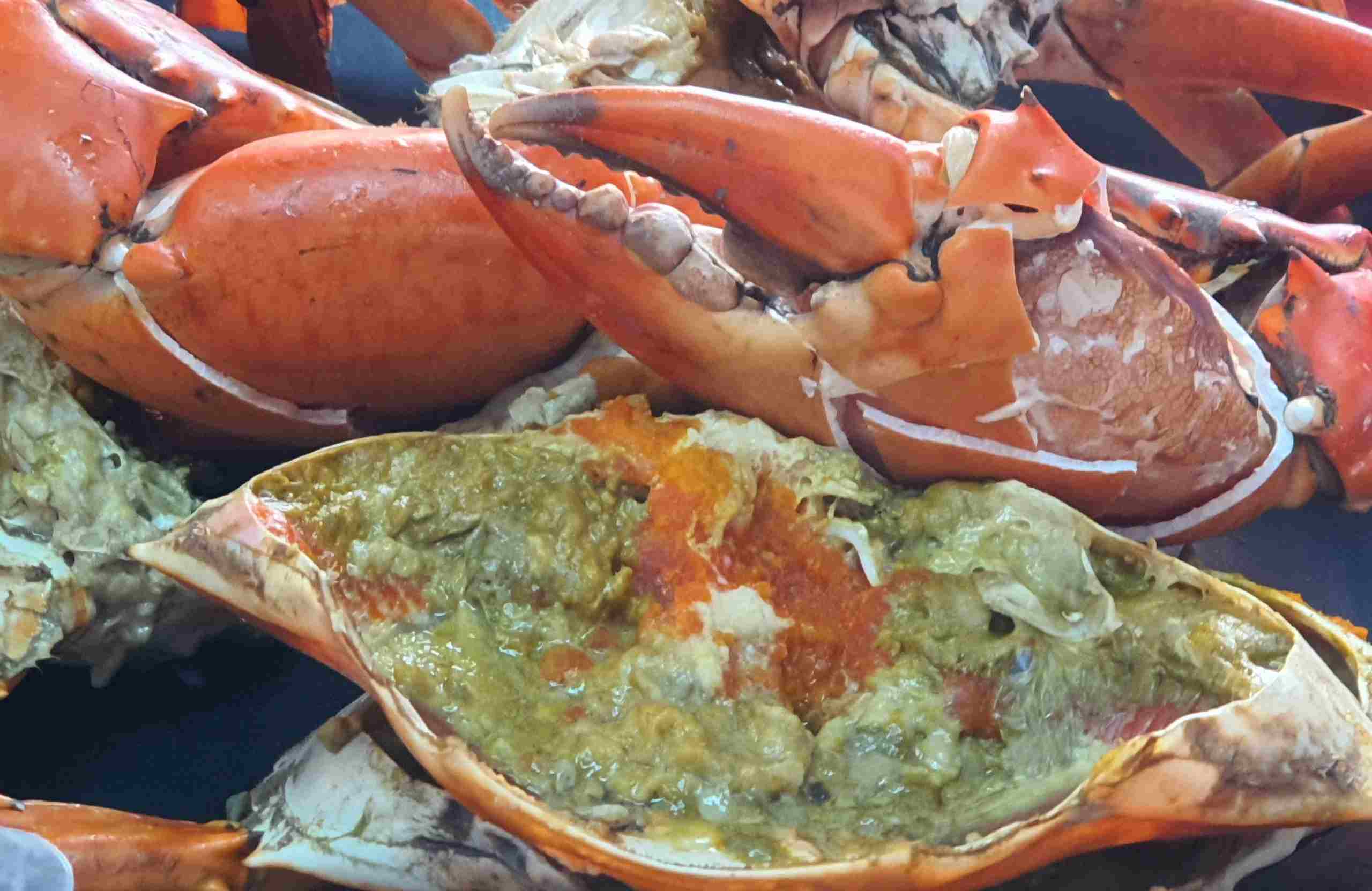 Cac mon an che bien tu cua Ca Mau, cua luot van la mon an hap dan de che bien. Anh: Nhat Ho