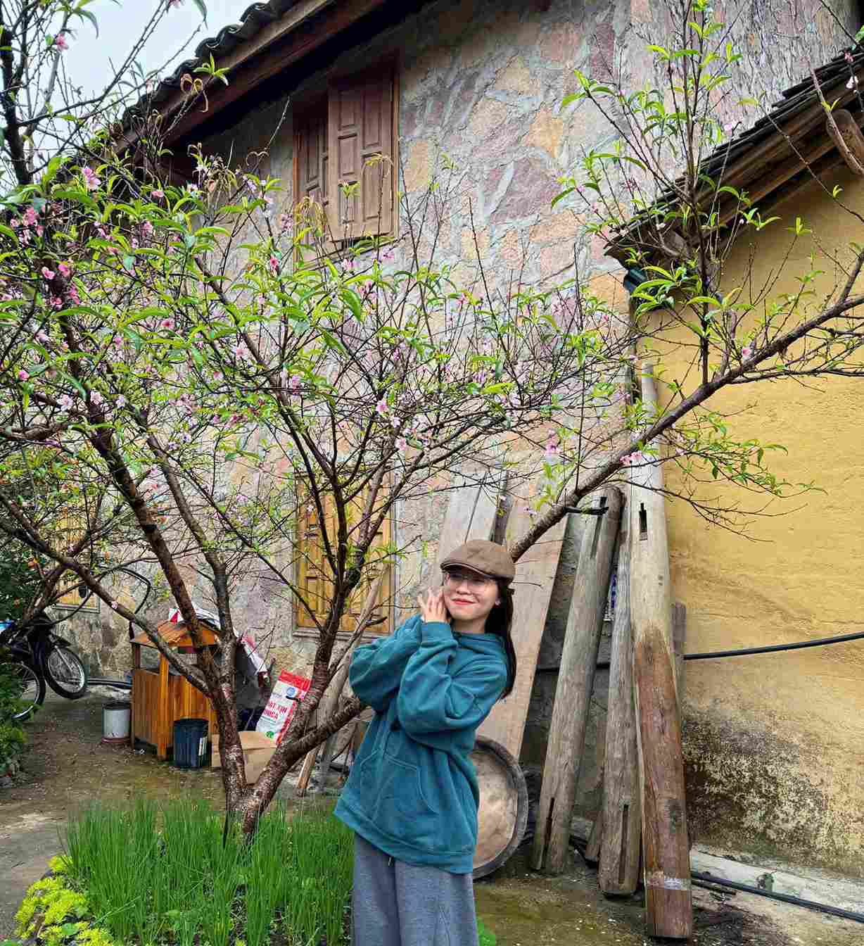 Květy broskví rozkvétající brzy ráno ve vesnici Lo Lo Chai potěší mnoho turistů. Foto: Man Ne