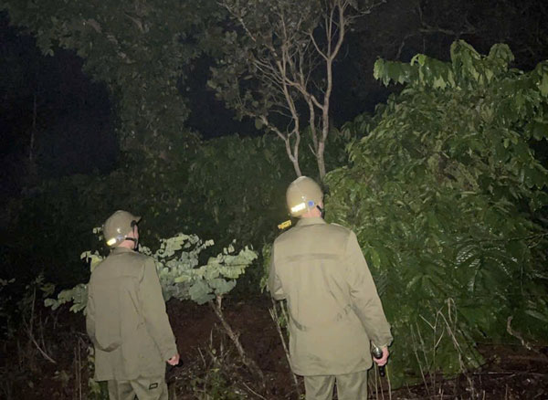 Tổ An ninh cơ sở tuần tra các rẫy cà phê của người dân để phòng ngừa, phát hiện trộm cắp nông sản ở xã Chư Prông. Ảnh: Công an 