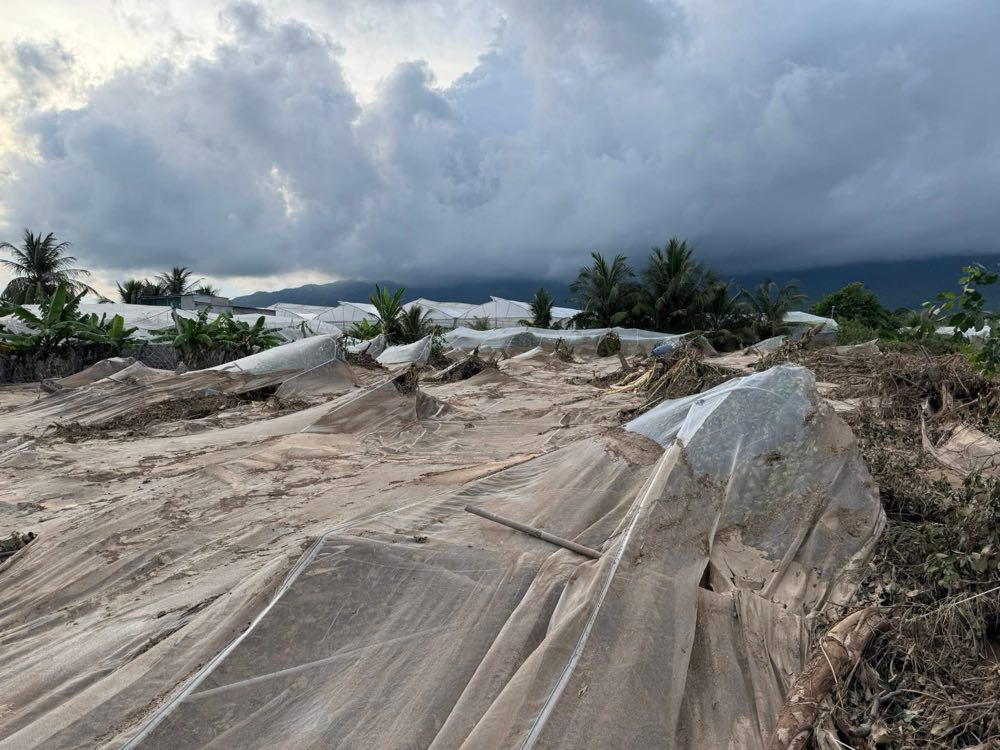Hoa mau, tai san cua nguoi dan bi dong chay gay thiet hai nang. Anh: Duy Tuan