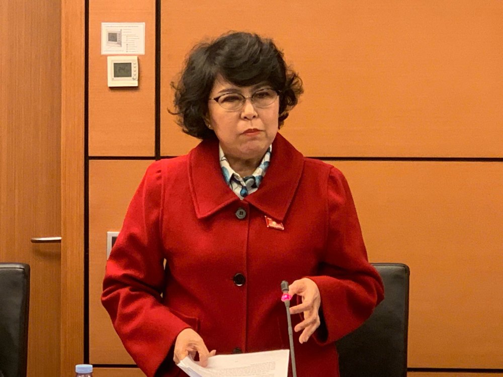 Dai bieu Quoc hoi To Thi Bich Chau. Anh: Pham Dong