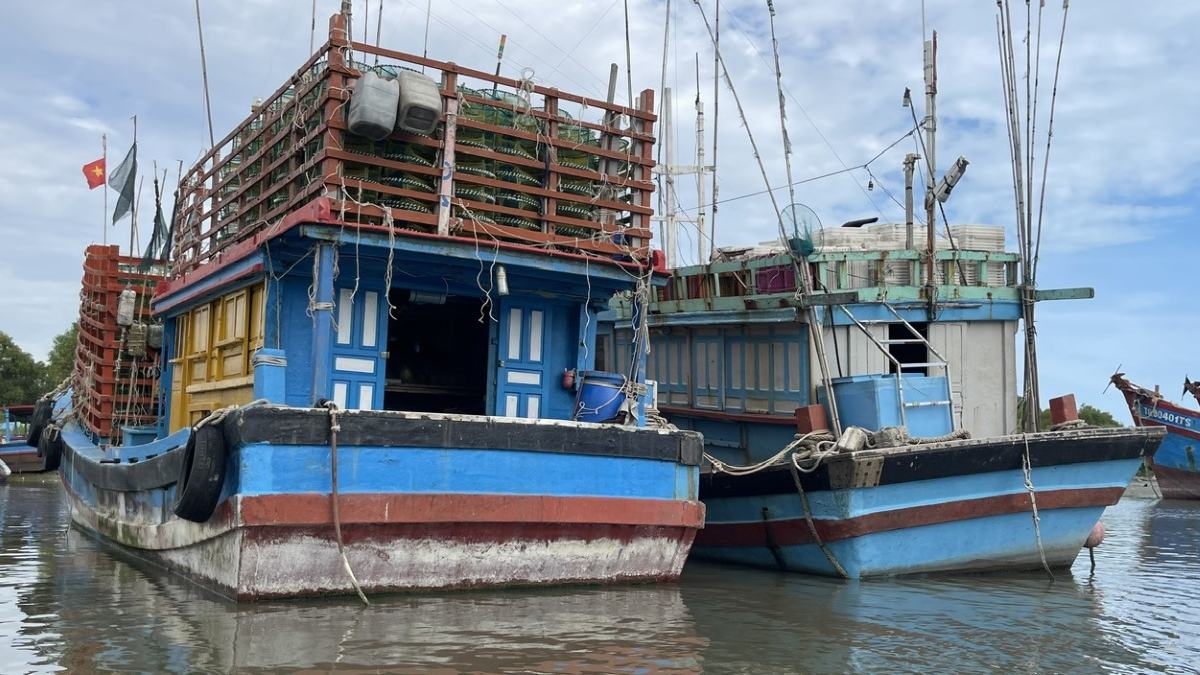 Fishing vessels anchored in the Vung Tau sea area. Photo: Thanh An