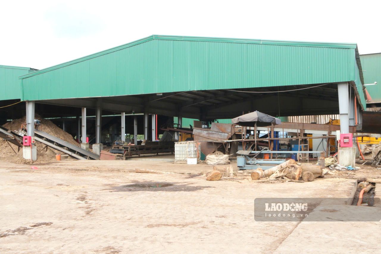 Khu vuc nha xuong san xuat go dam va vien nen cua Cong ty TNHH Kiet Lam YB. Anh: Van Duc
