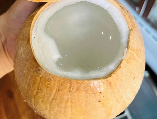 Benefits and notes for drinking coconut water every day in winter. Photo: Kieu Vu