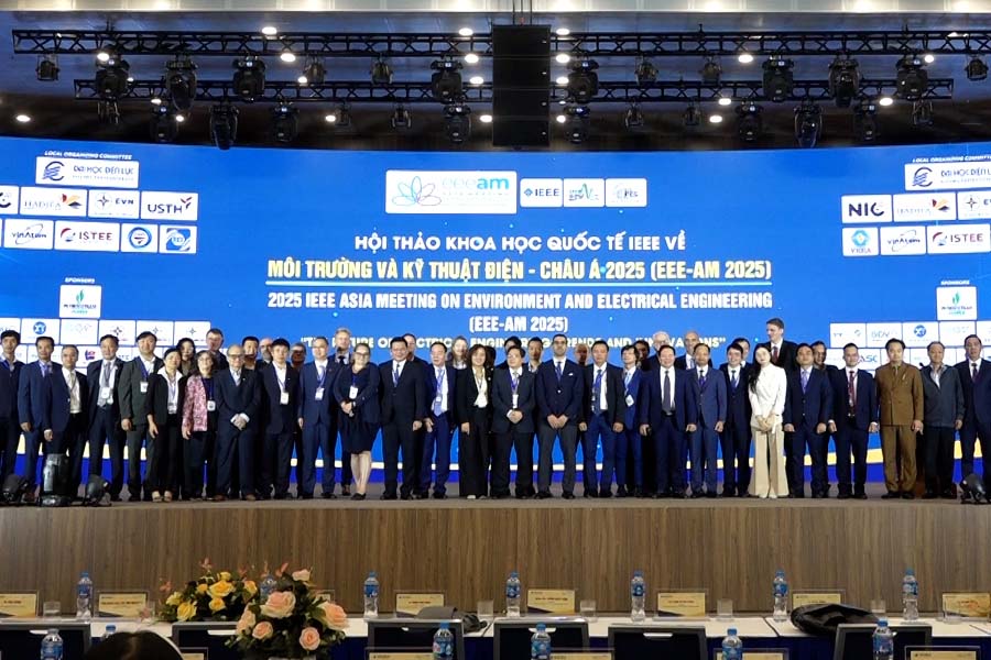 Hacia la construccion de un futuro sostenible para los sistemas energeticos y ambientales