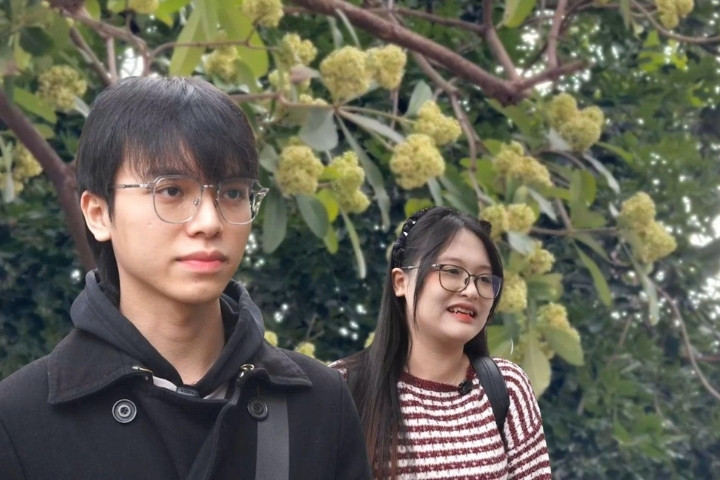 Hanoi in the milk flower season, the spirit drinker collects the spirit drinker to escape the strong smell