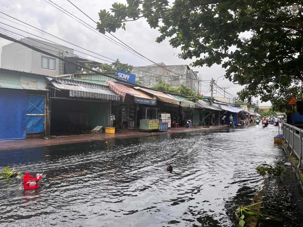 Trieu cuong gay ngap tren duong Phu Dinh. Anh: Anh Tu