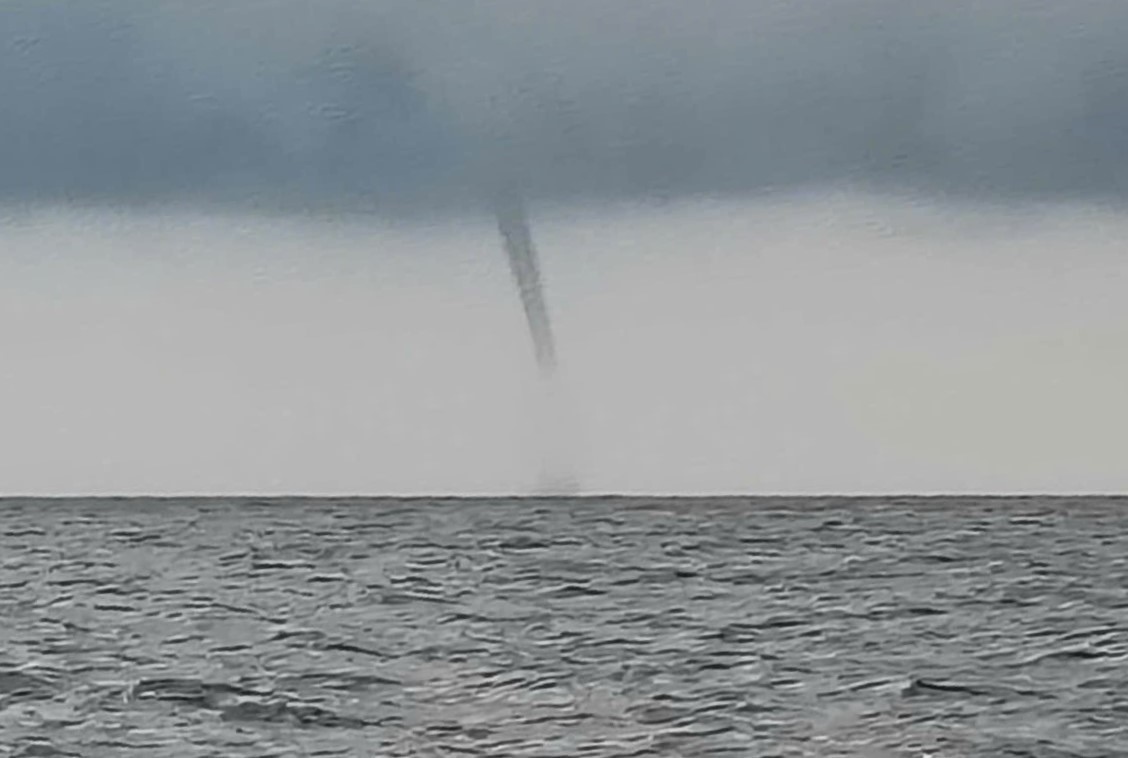 Voi rong xuat hien tren bien Lam Dong, chieu 5.11. Anh: Ho Long