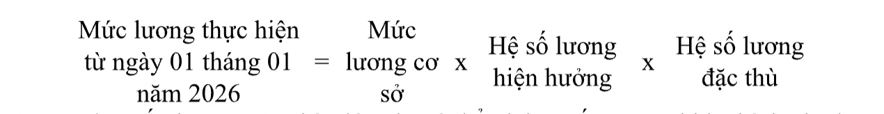 Cong thuc tinh muc luong theo he so luong dac thu. Anh: Bo GDDT