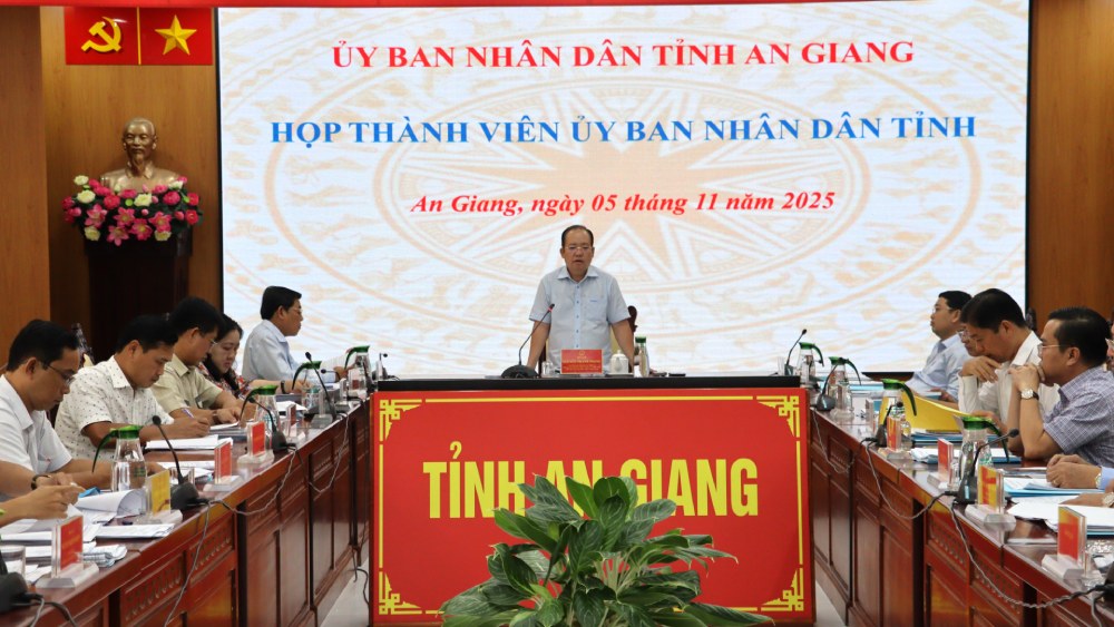 Pho Chu tich Thuong truc UBND tinh An Giang Nguyen Thanh Phong phat bieu chi dao tai cuoc hop. Anh: Ngoc Mai