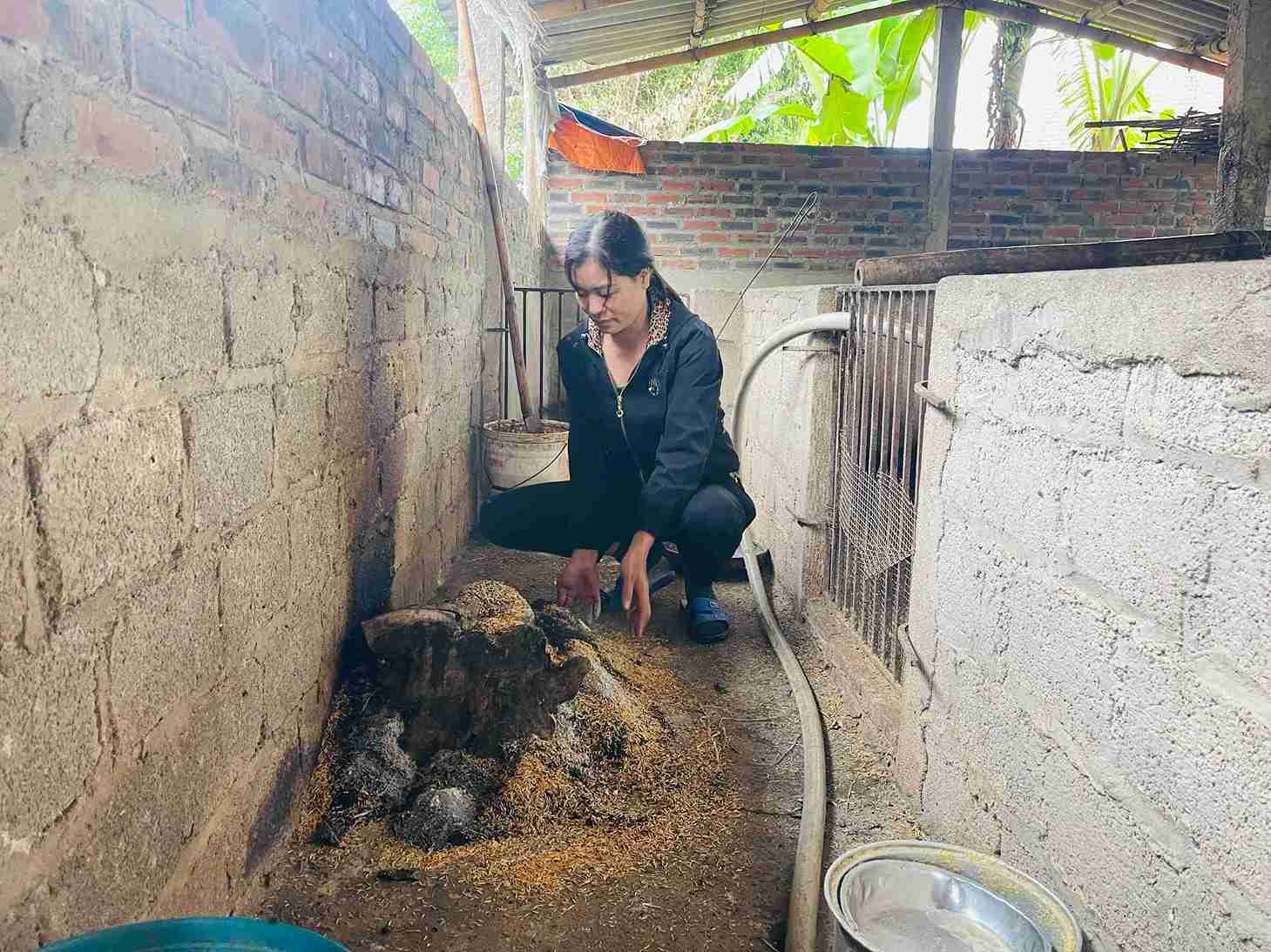 Ms. Tran Thi He (Doan Dao commune, Hung Yen province) burns smoke to keep the barn warm during the first cold rainy days of the season. Photo: Mai Huong