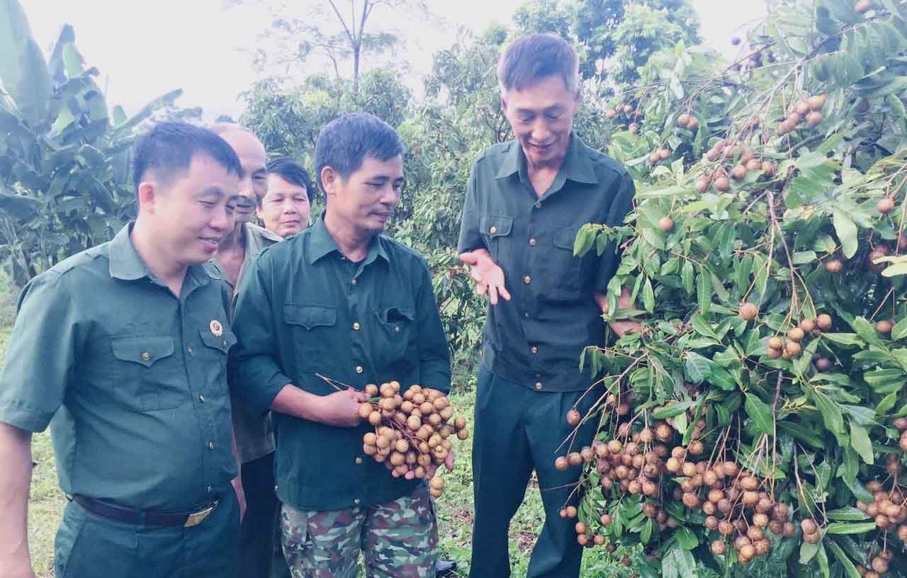 Hoi Cuu Chien binh tinh Tuyen Quang dong hanh cung hoi vien phat trien kinh te, giam ngheo ben vung. Anh: PV.