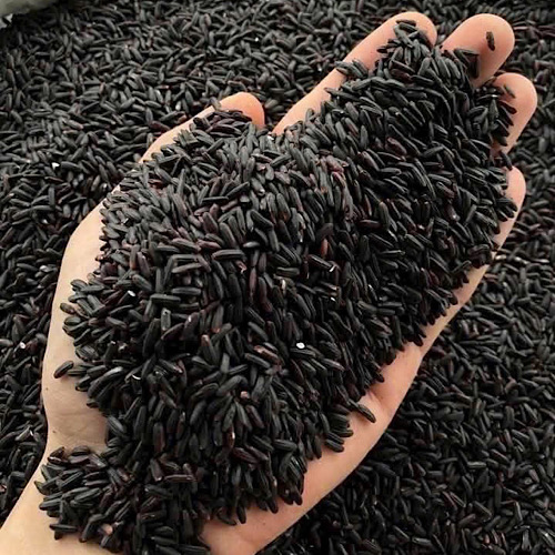 Roasted brown rice tea has the effect of supporting liver and kidney detoxification. Photo: Quang Minh.