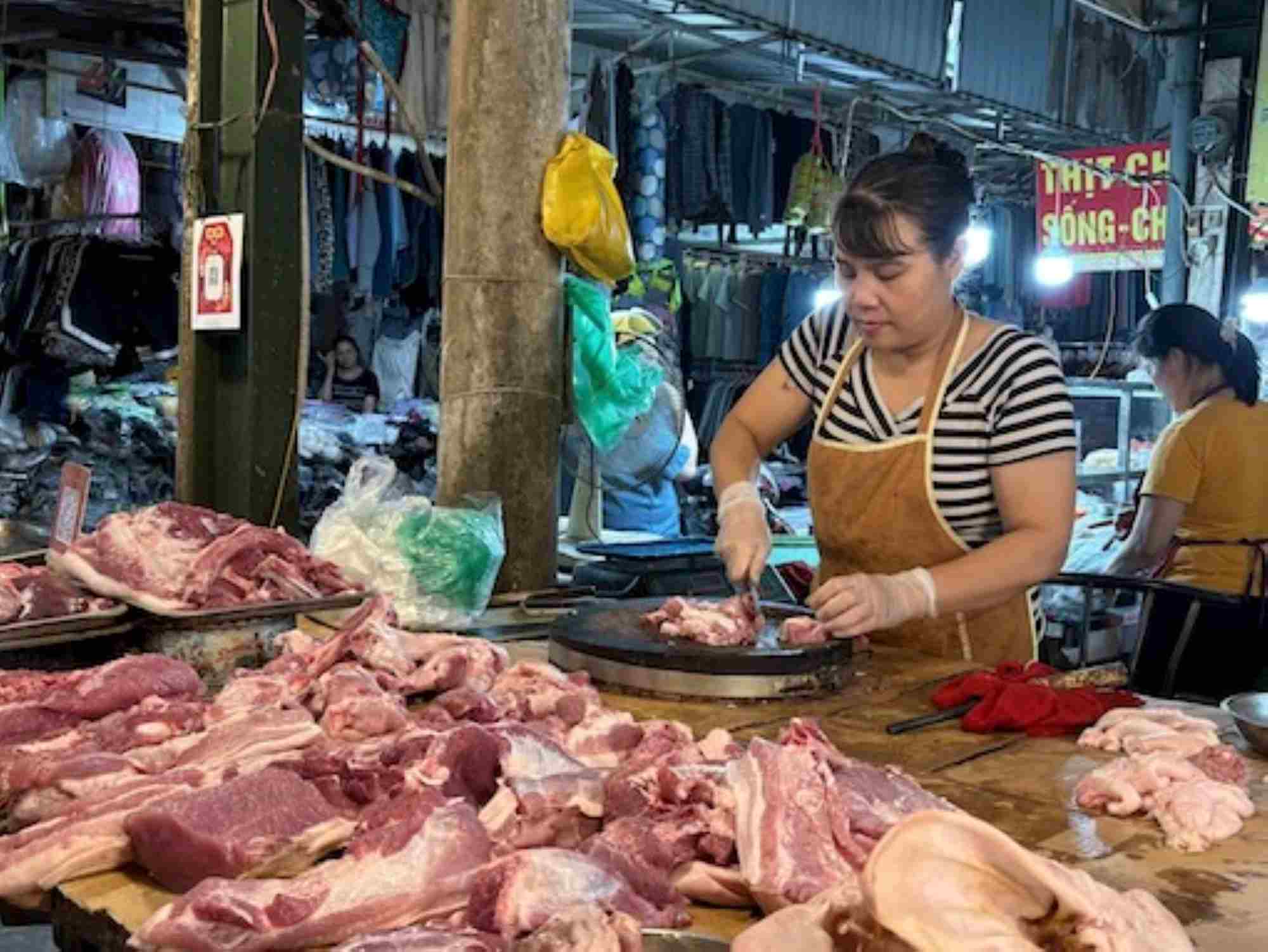 The price of live pigs is forecast to increase again at the end of the year. Photo: Thuy Linh