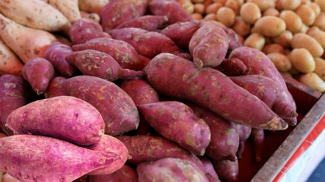 Sweet potatoes contain large amounts of antioxidants such as beta-carotene, polyphenols and vitamin C that help prolong life. Photo: Do Phuong