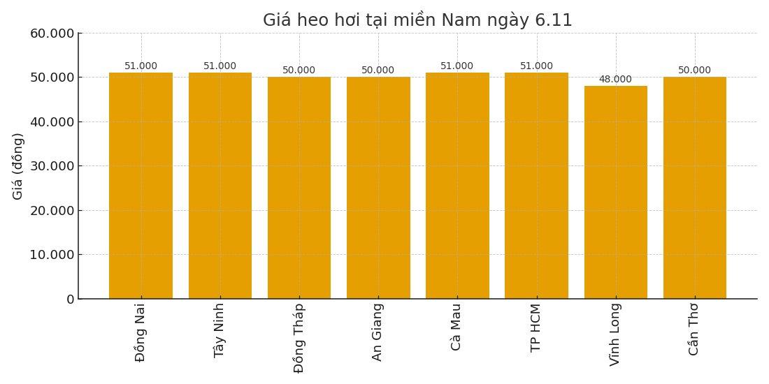 Gia heo hoi ngay 6.11 tai khu vuc mien Nam. Do hoa: Thuy Linh