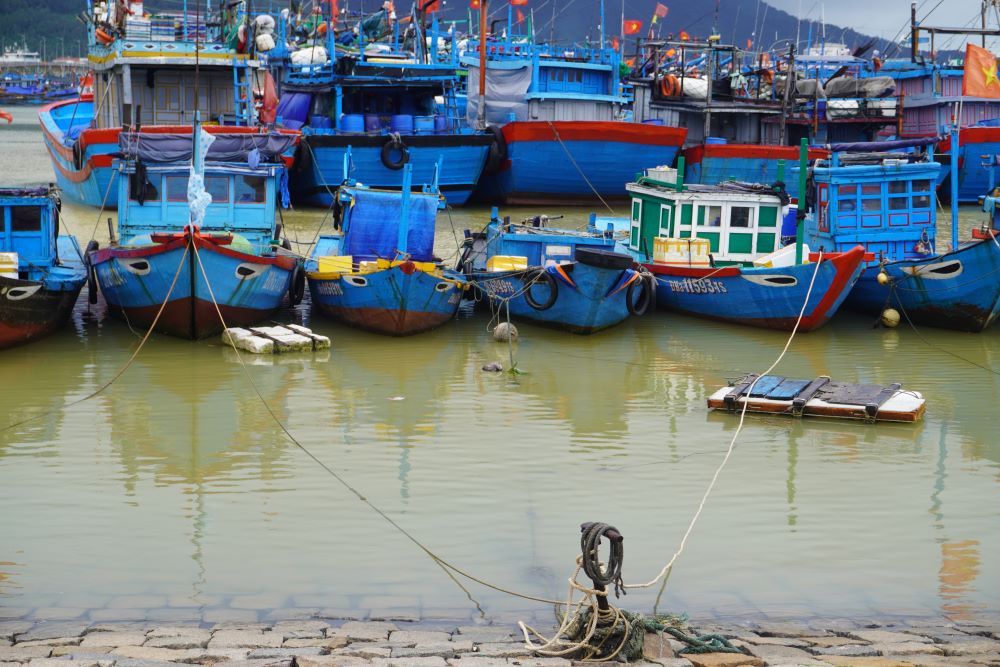 Nguoi dan tu som da cot tau bang nhieu lop day thung. Anh: Tran Thi