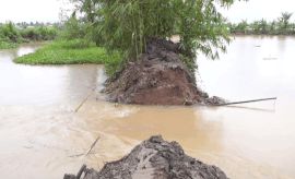 Con Son dike breaks extremely quickly, Can Tho people do not have time to react