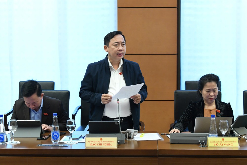 Dai bieu Dao Chi Nghia phat bieu. Anh: Pham Dong