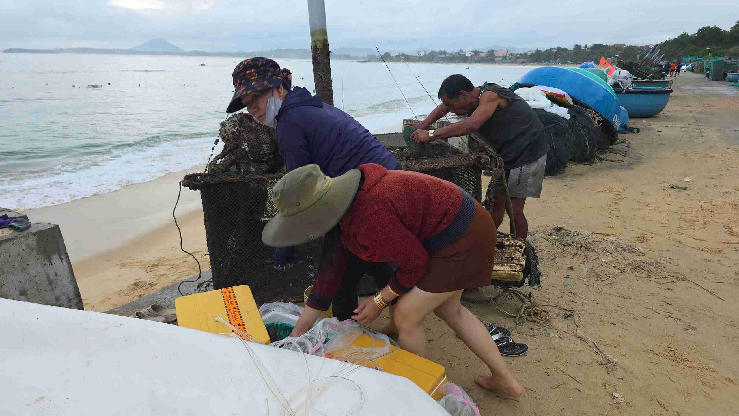 Nguoi dan Dak Lak thu don long be nuoi tom hum tranh bao. Anh: Huu Long