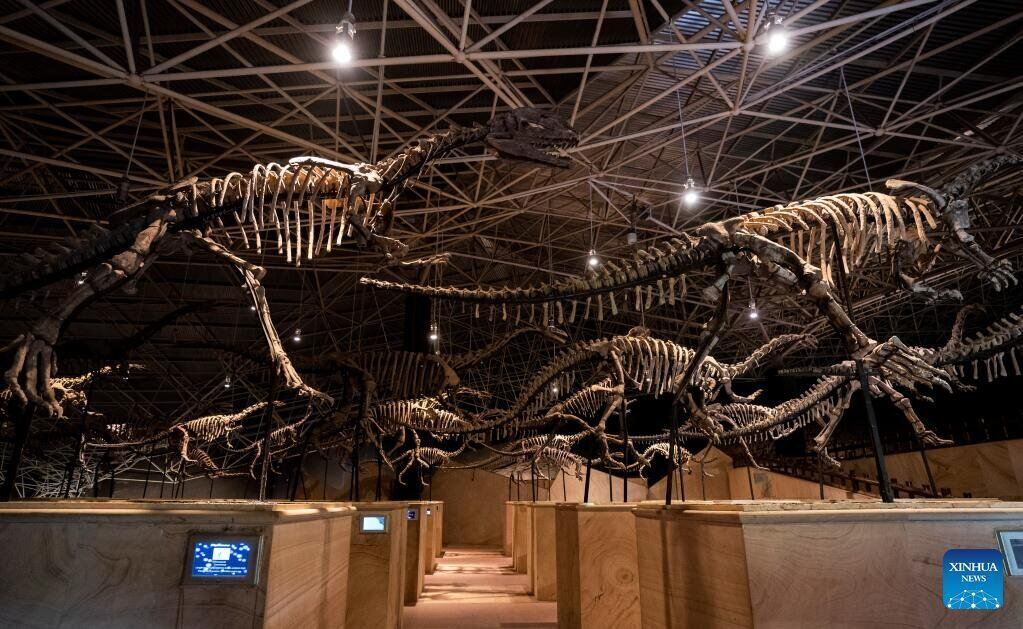British police seized 3 Dinosaur skeletons of the Chinese money laundering boss. Photo: Xinhua