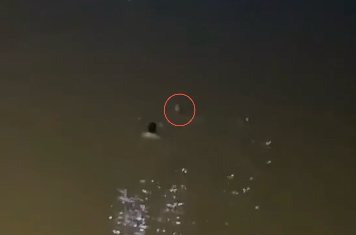 Anh Ben lao xuong song, boi toi cuu nguoi phu nu (khoanh do). Anh: Pham Duy