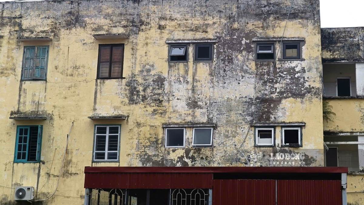 As a result, the project was seriously hampered at the Hai Phong Industrial Park. Photo: Mai Dung